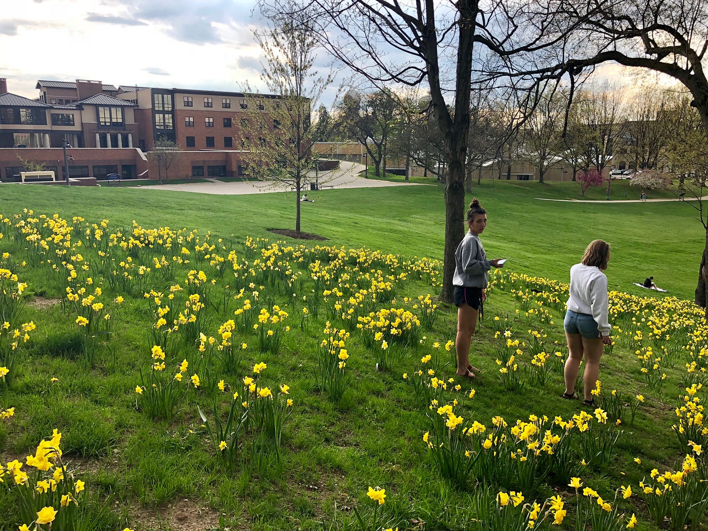 The Honors College Environment at Kent State University by Heather