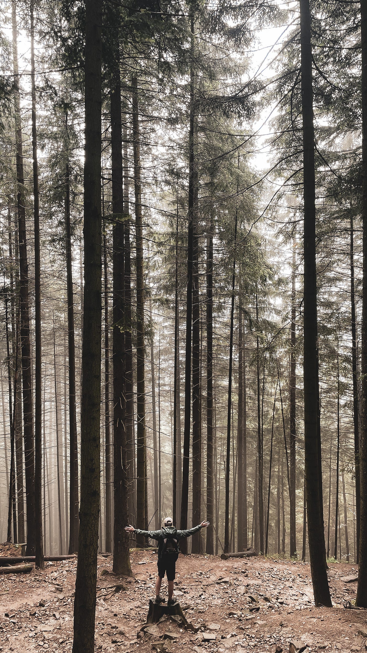 There Is No Wifi In The Mountains But I Promise You Will Find A Better