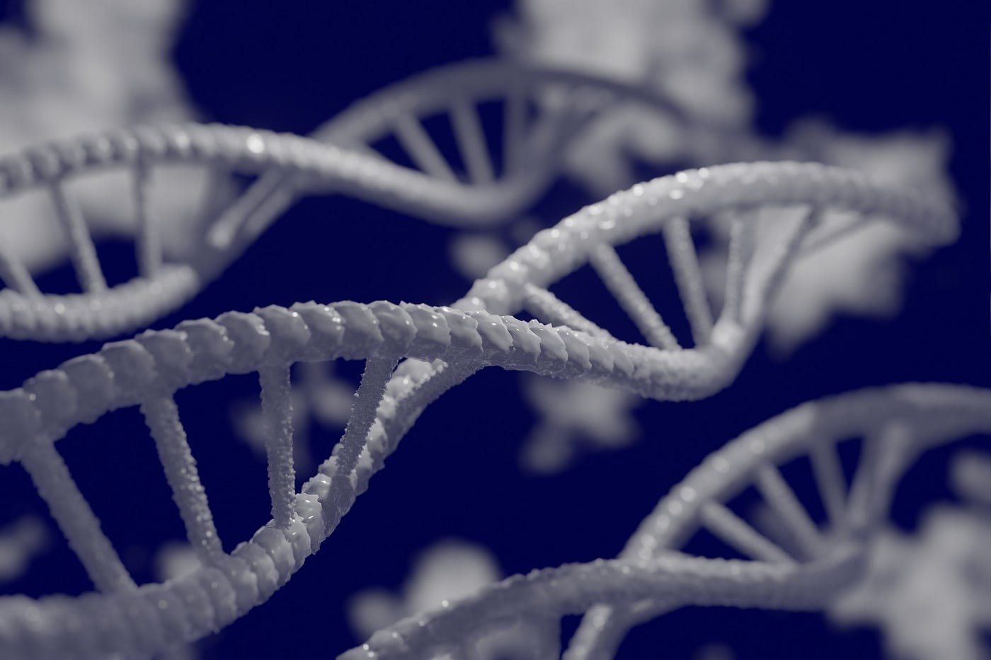 image of a DNA double helix
