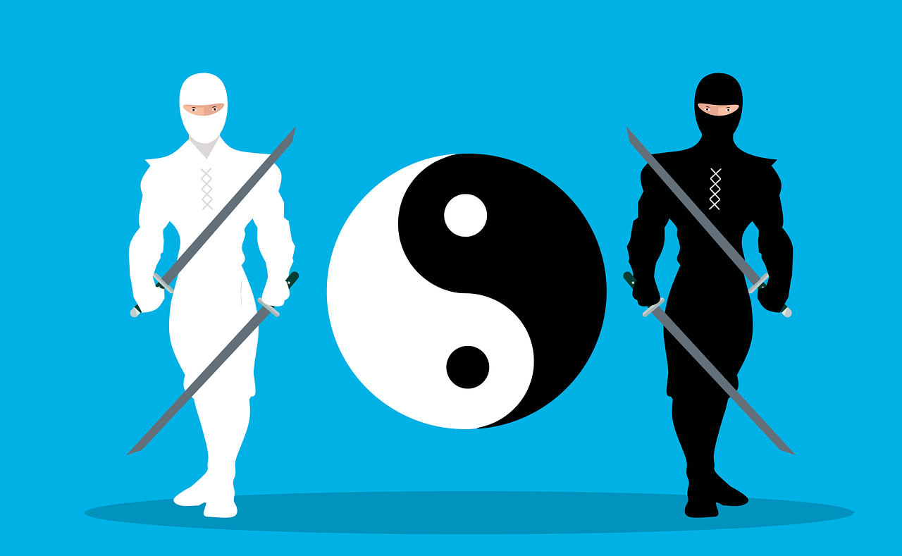 Two ninjas, one dressed in white and the other in black, standing on opposing sides of a yin-yang symbol.
