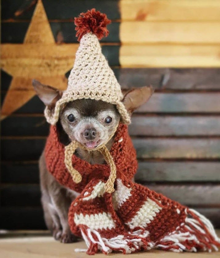 Tongue Forever The Story of Mama Nutmeg by Andrew Zangre Medium