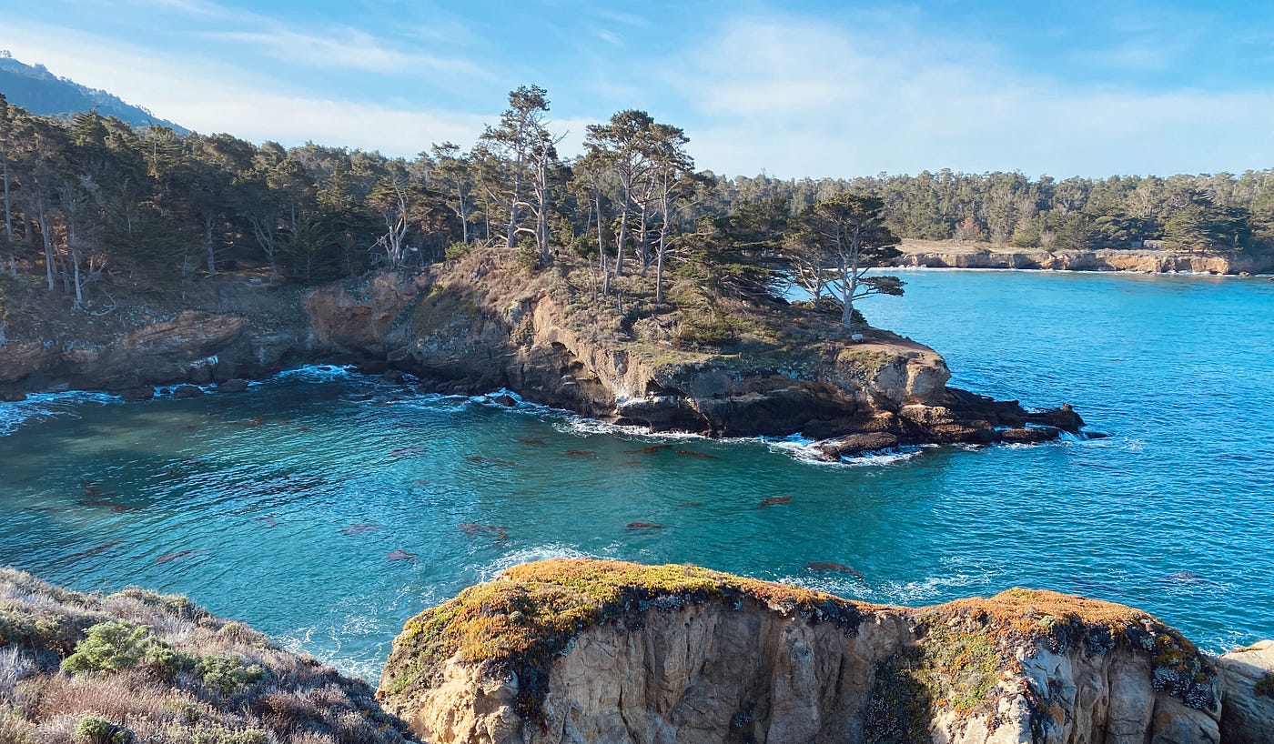 Point Lobos Loop Trail A hidden - 1*vAQsTk5LlOIYuy4gzmfDmw 