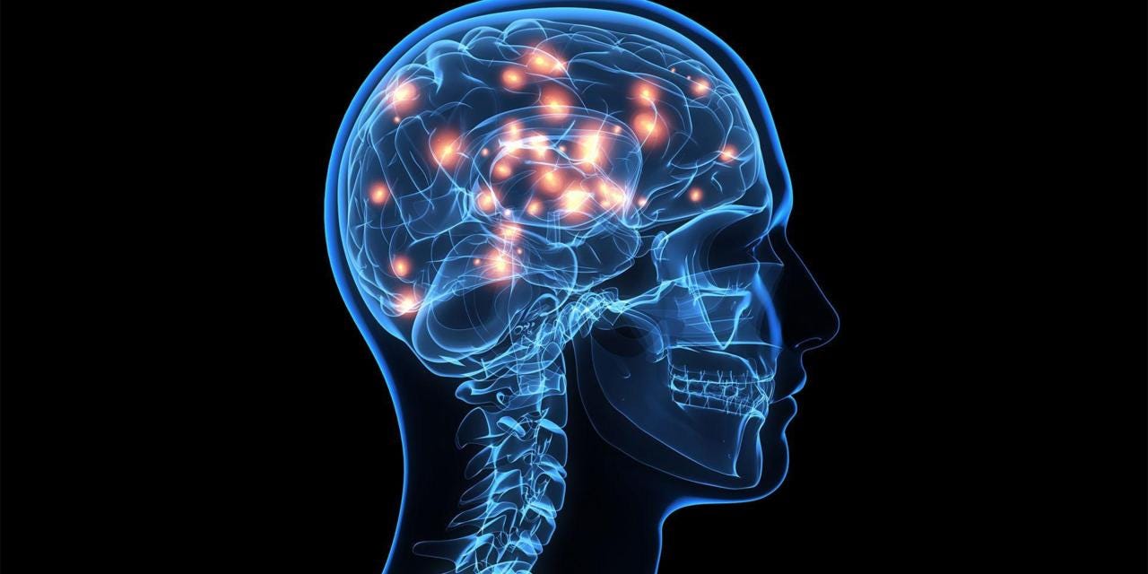 Anatomía y Fisiología del Sistema Nervioso Central (SNC) | by Neuro Five  Leytoncitos | Medium
