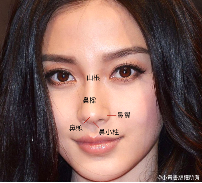 分享 隆鼻手術評價 效果 價格介紹 最公正的療程解析和價格公開 小青書