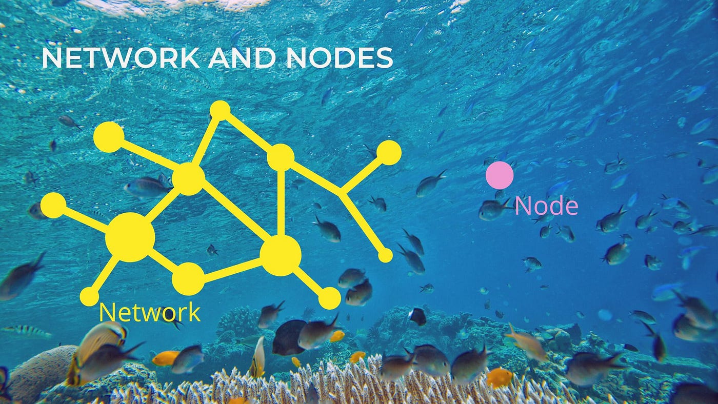 Blockchain node. Fundamentals. Types. Rewards. Iron Fish Node. by Val