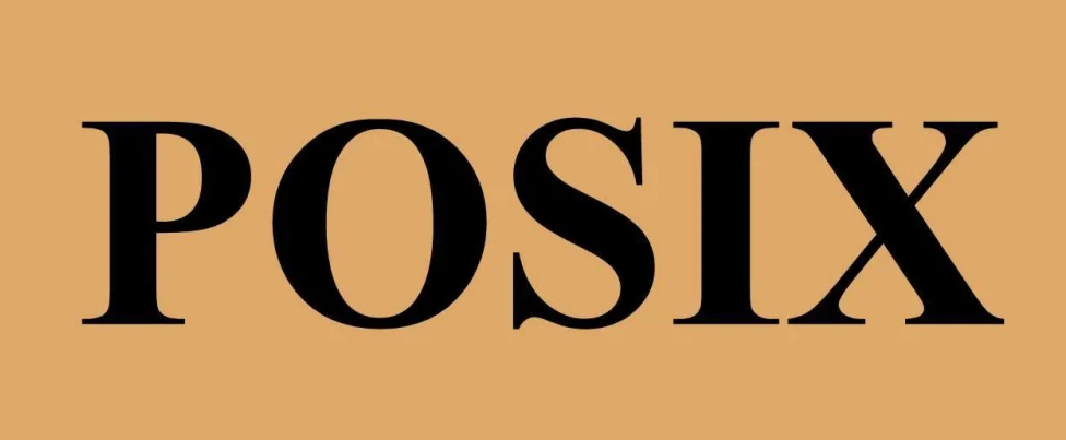POSIX (Portable Operating System Interface — Taşınabilir İşletim Sistemi Arayüzü)