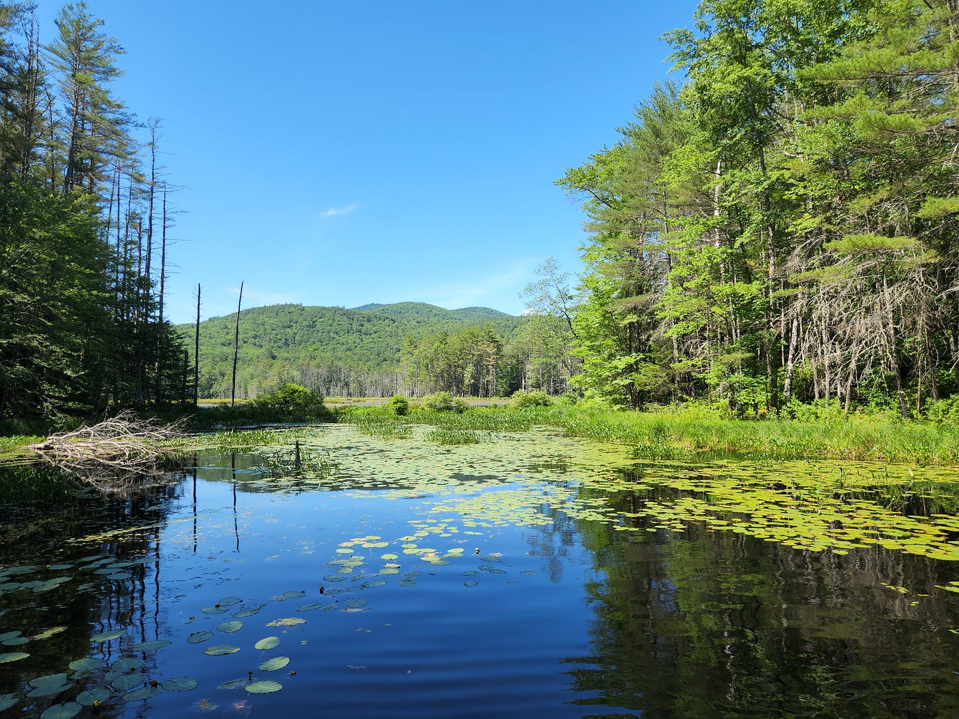 Dry June in Much of New England and the Spread of Moderate Drought by