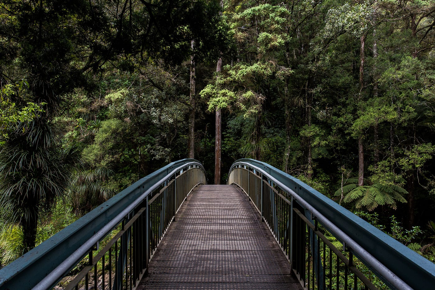 Unsplash