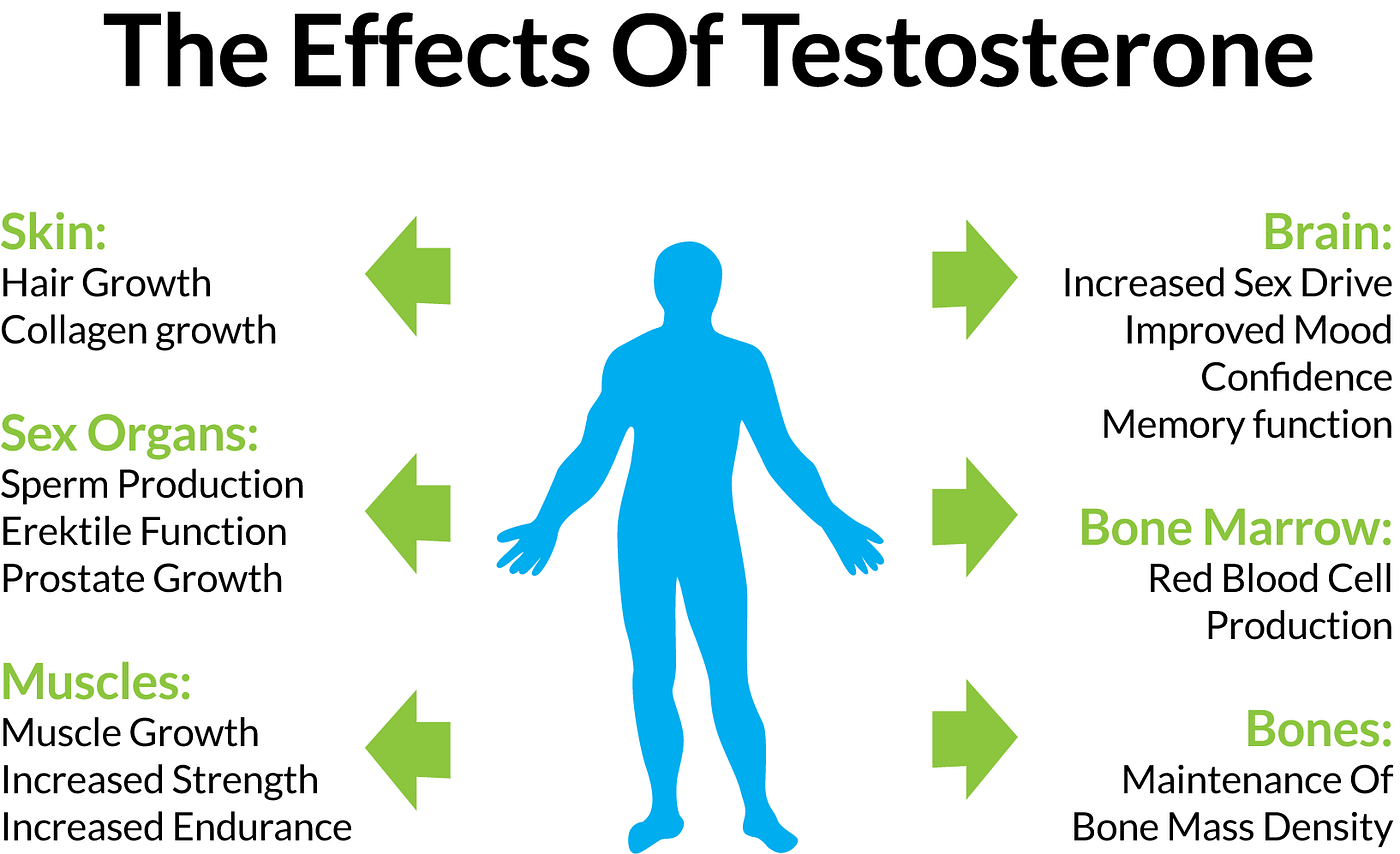 Testosterone Foods That Help Produce It, and Why You Want More of It