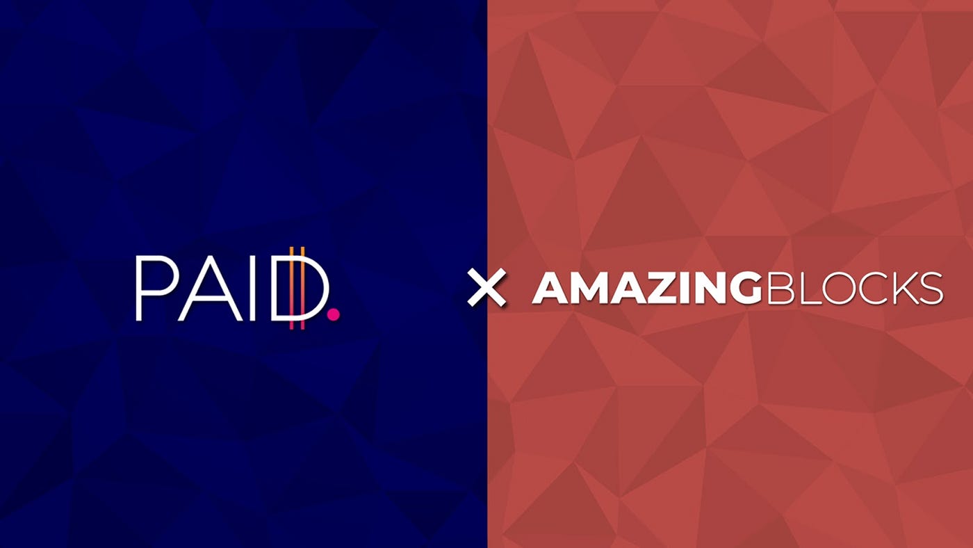 Paid Network Partners with Amazing Blocks