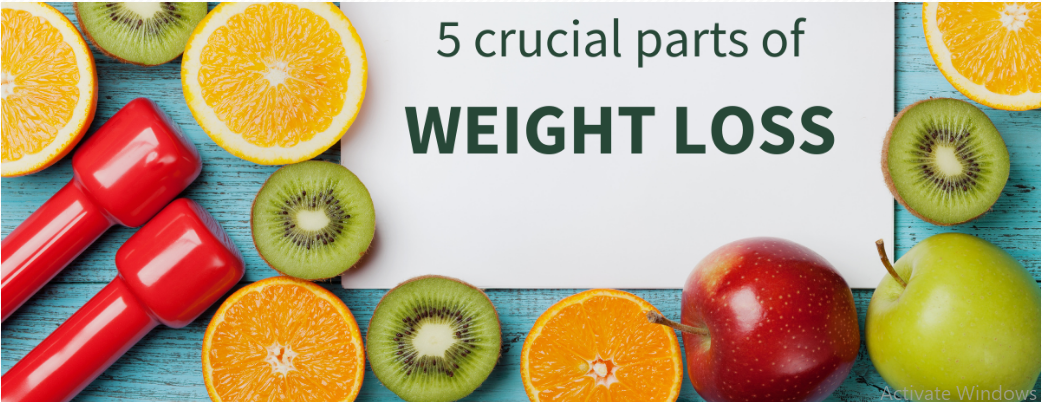 Hashimoto Diet To Lose Weight