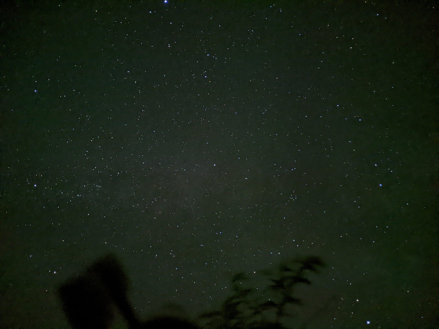 Astrophoto of the constellation Cygnus and its surrounding area