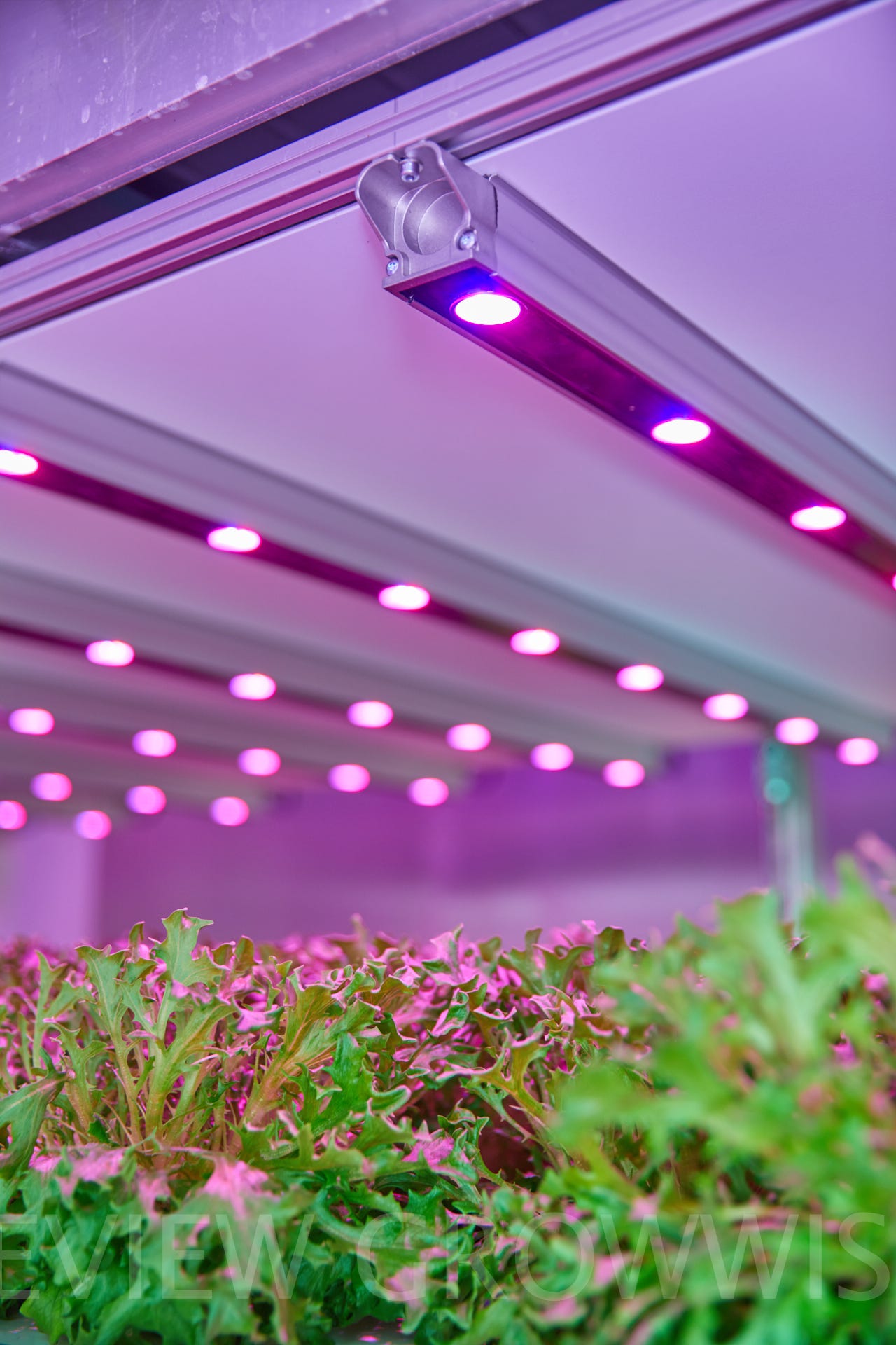 Vertical Farming using LED lights | by Jakajima | Medium