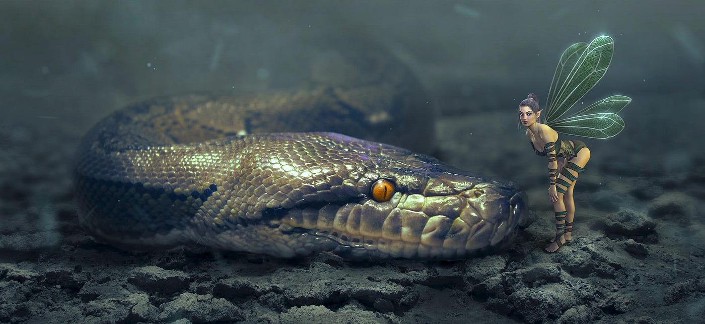 Click Past This If You Hate Monty Black Mamba Snake  by Holly J See
