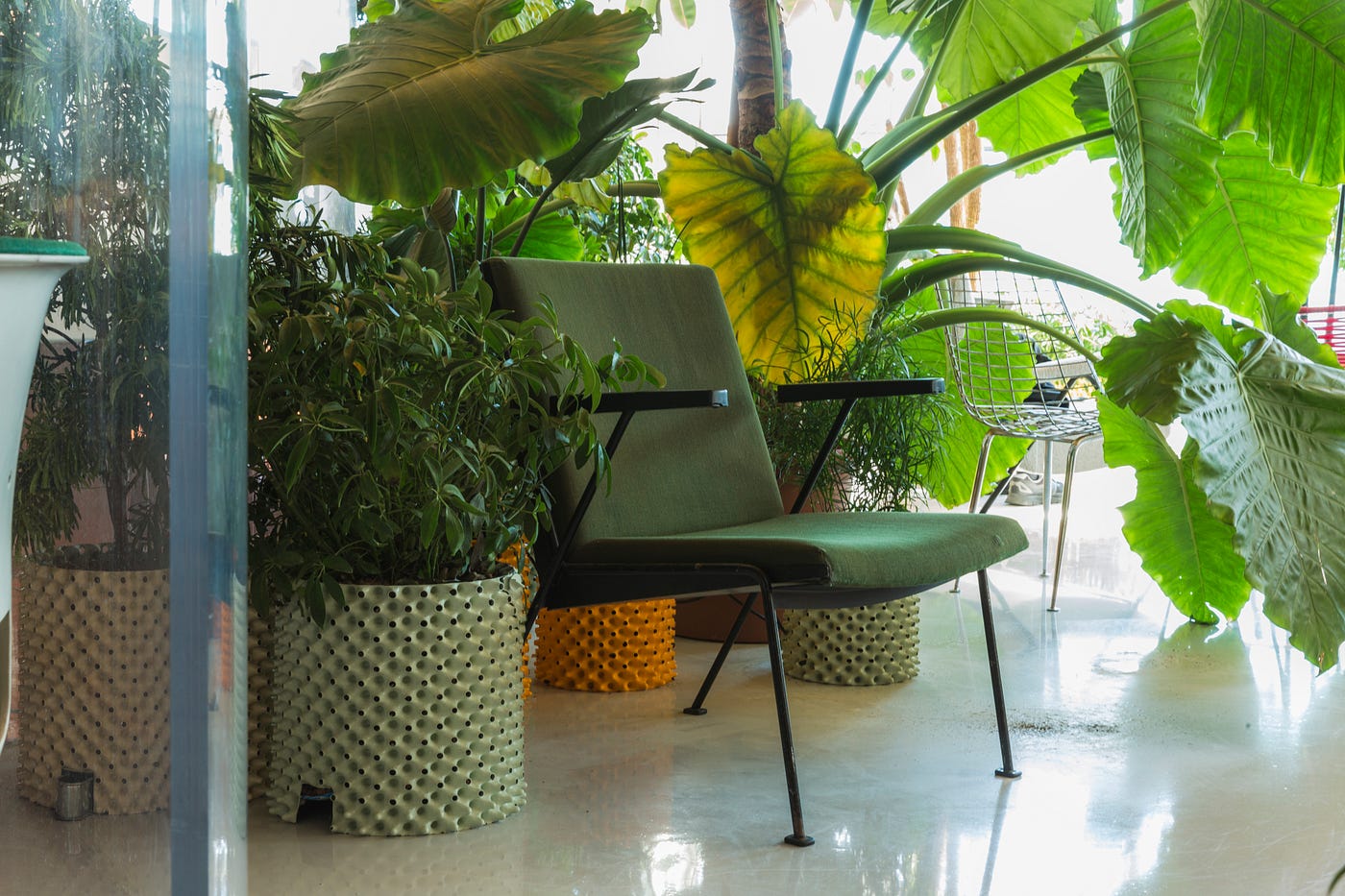 My Second Home Hayden Wood. Cofounder, Bulb by Second Home Work