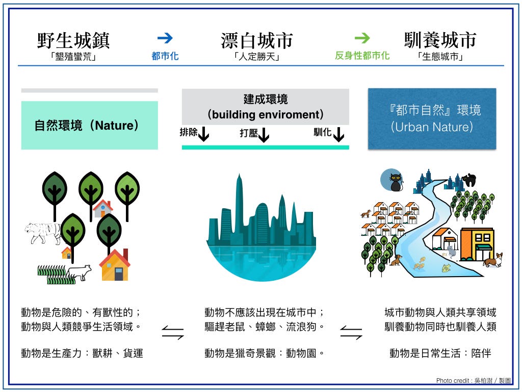 馴 養城市 人與動物關係 動物一直與我們同在 只是我們想要與誰同在 By 吳柏澍wuposhu Medium 馴 養城市 人與動物關係 動物一直與我們同在 只是我們想要與誰同在 By 吳柏澍wuposhu Medium