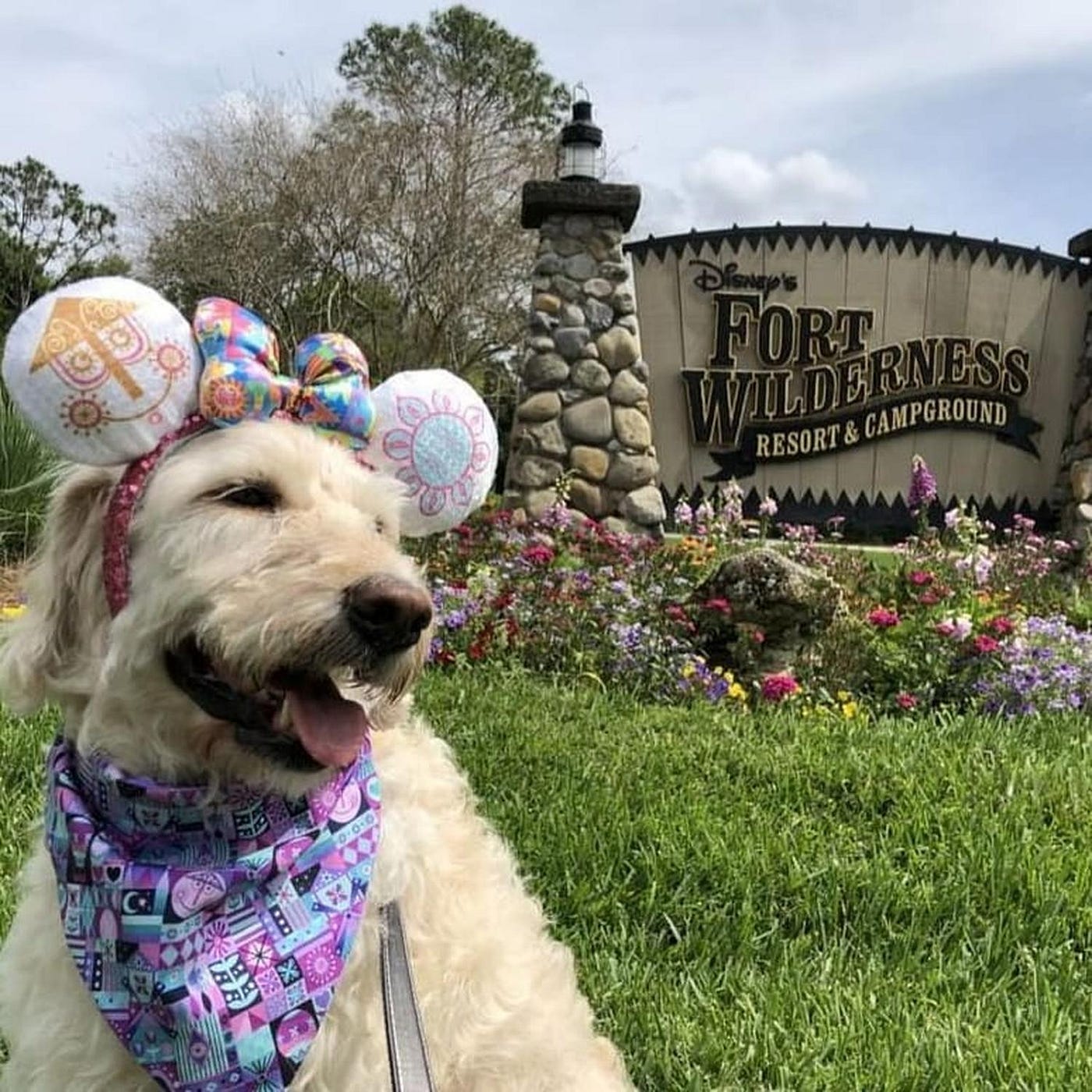 The 10 Most PetFriendly Campgrounds in the U.S. by BringFido Medium