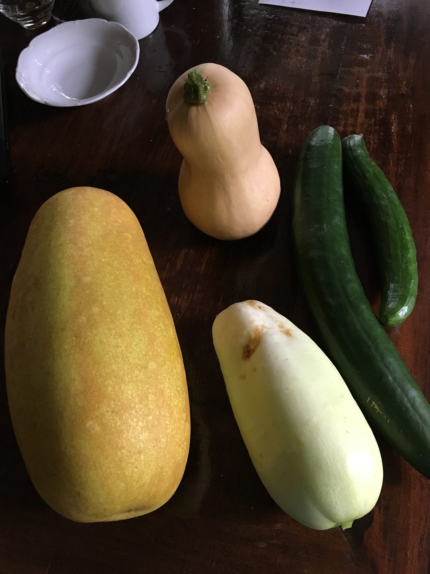 ウリ科いろいろ ウチの畑には なぜかいろんな外国野菜が植えられています By Takuchan Coach Medium