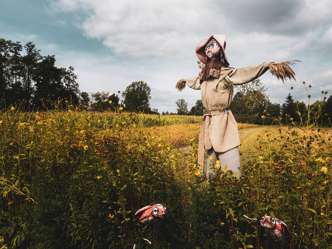 A scarecrow in the field.