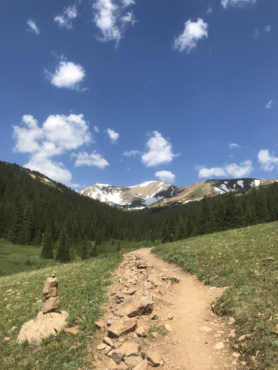 dirt trail featuring flat grasslands and a forest and mountain range background and blue skies with some clouds