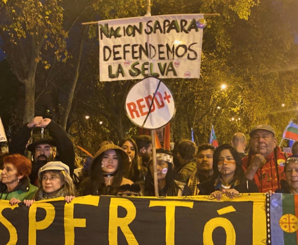 Indigenous activists carrying a large yellow banner and signs.