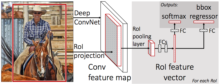 Splash of Color: Instance Segmentation with Mask R-CNN and TensorFlow | by  Waleed Abdulla | Matterport Engineering Techblog