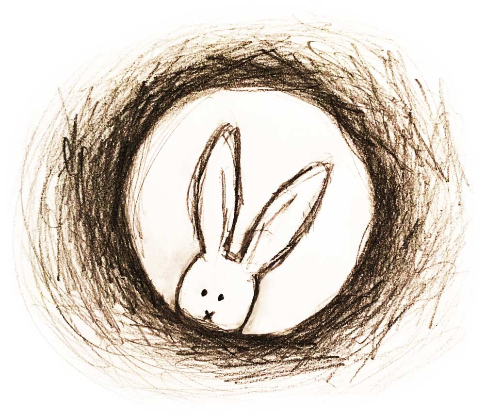 Rabbit hole