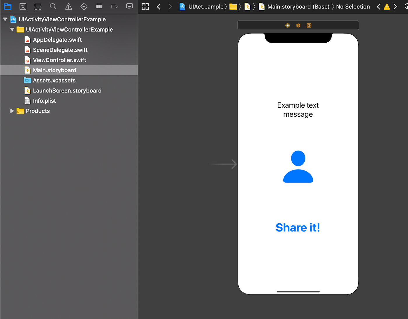 Copy share xcode button in iOS App