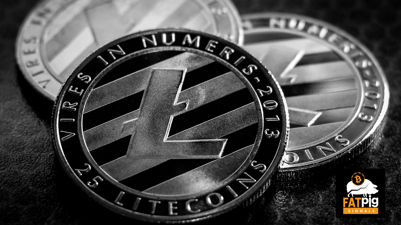 Litecoin Forecast 2021 2025 Is A Long Term Investment Worth It By Lukas Wiesflecker Coinmonks Medium Litecoin Forecast 2021 2025 Is A Long Term Investment Worth It By Lukas Wiesflecker Coinmonks Medium