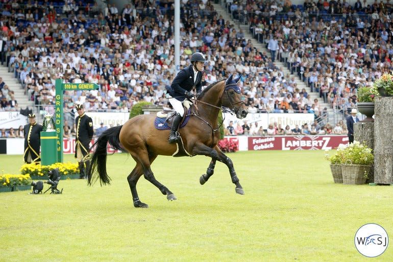 How To Watch Show Jumping 3 Types of Classes by The PonyApp Medium