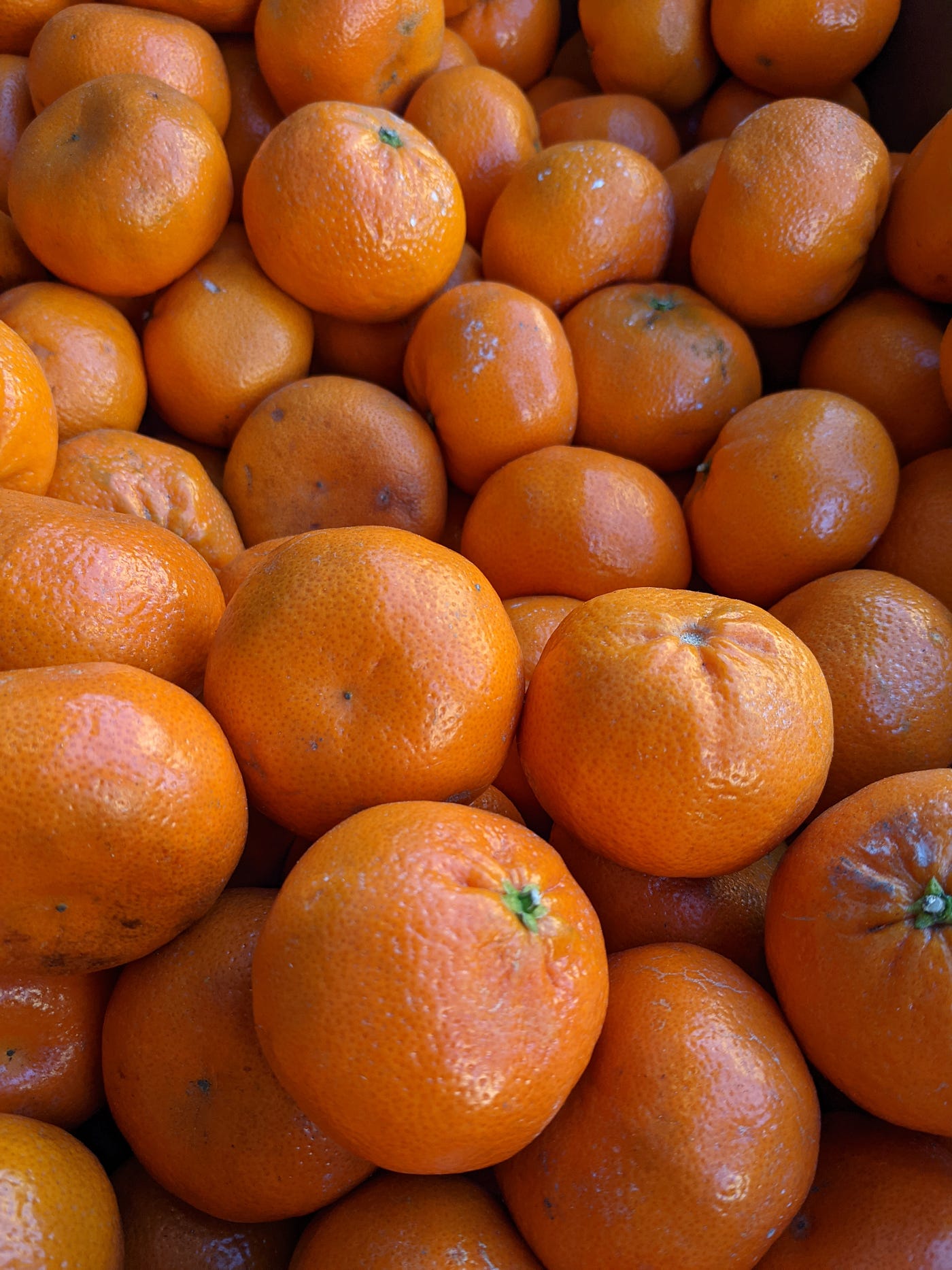 orange Scuzzbucket Medium