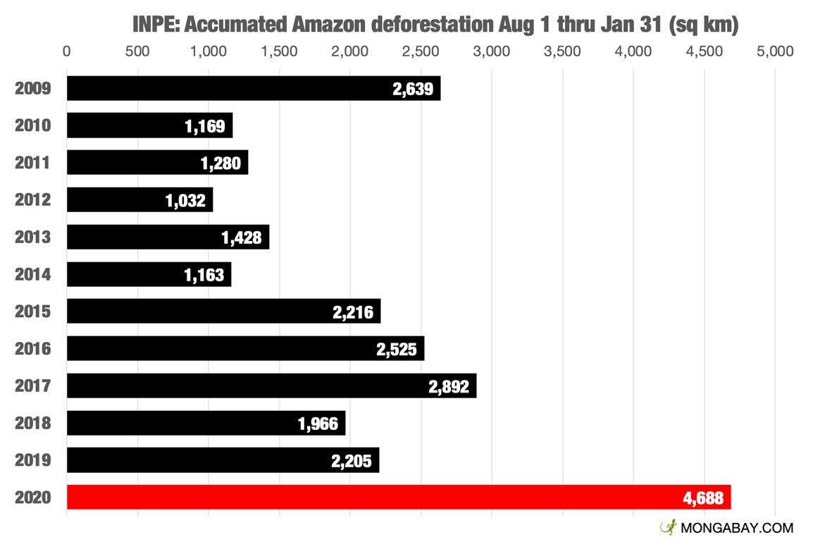 The Amazon Is Disappearing How Bad Is It By Jordan Fearn Climate Conscious Medium The Amazon Is Disappearing How Bad Is It By Jordan Fearn Climate Conscious Medium