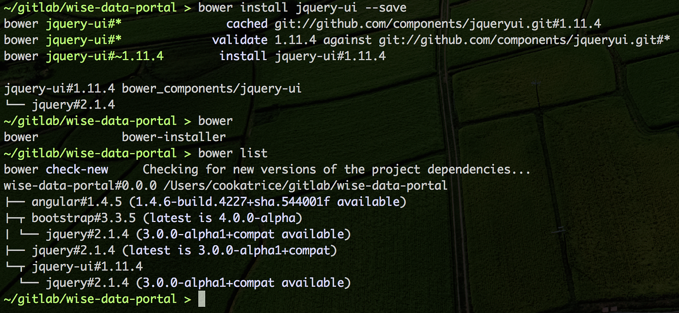 Bower를 사용합시다.. (부제, 운영중인 웹 프로젝트 package를 bower를 통해 관리… by CookAtRice