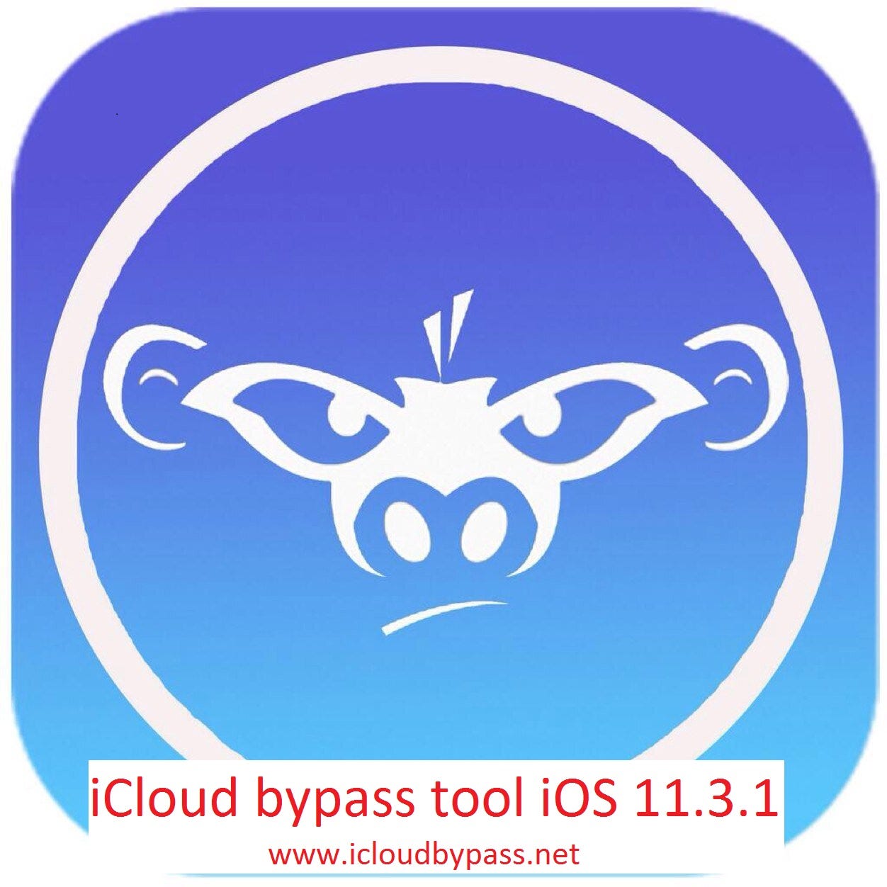 iphone icloud bypass tool