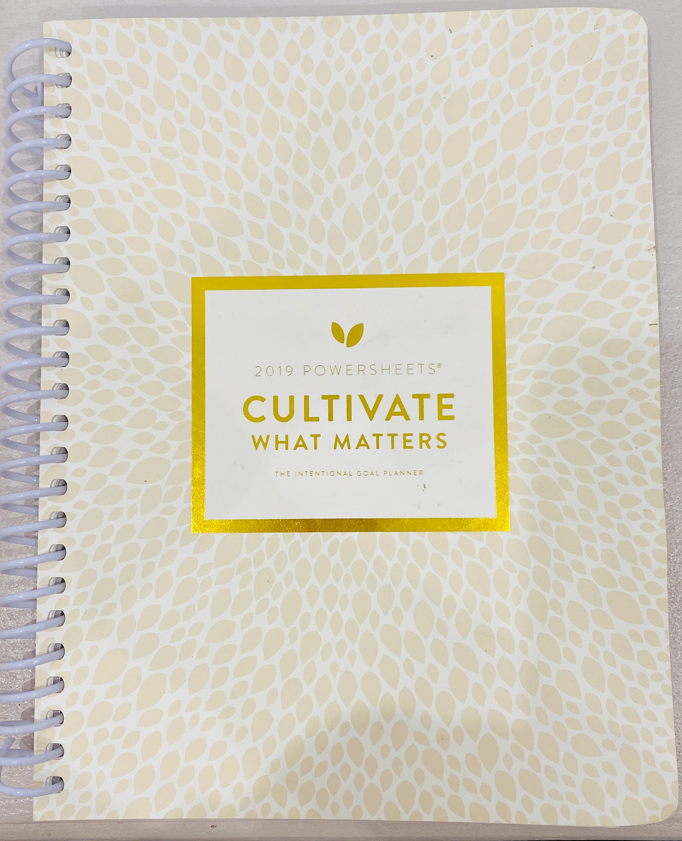 Cultivate What Matters PowerSheets by Lara Casey, image by Laura Jevtich