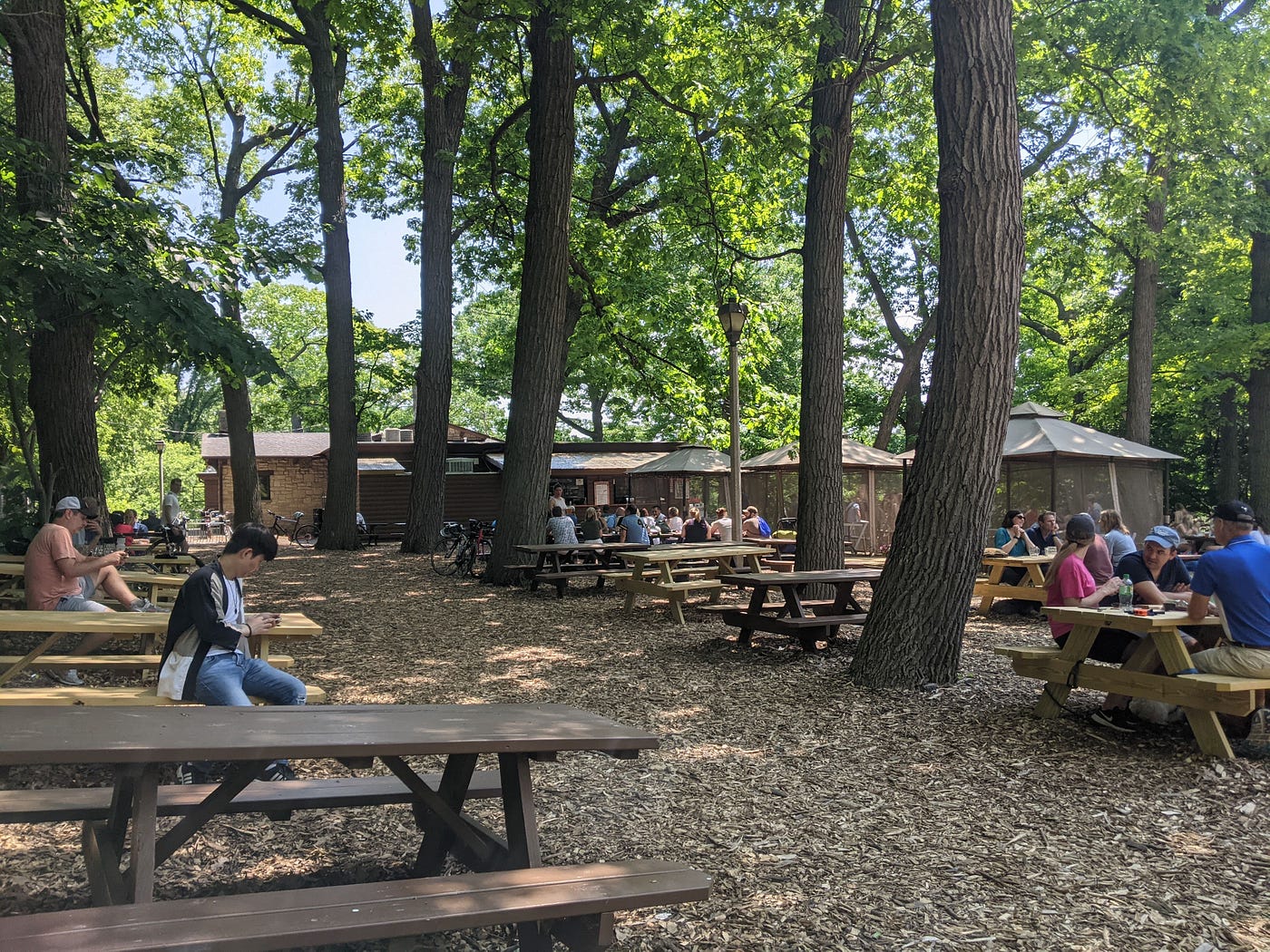 Hubbard Park Beer Garden in Shorewood, Wisconsin, a suburb of Milwaukee. Tall, leafy trees; the ground covered in wood chips; and picnic tables filled with people drinking beer.