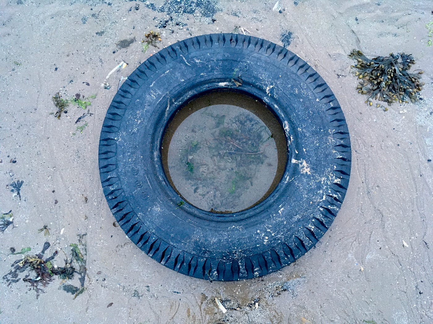 326 Beachcombing Finds