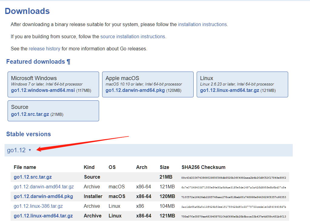 How to install Golang 1.11 on Ubuntu without apt by Caesar Chad Medium