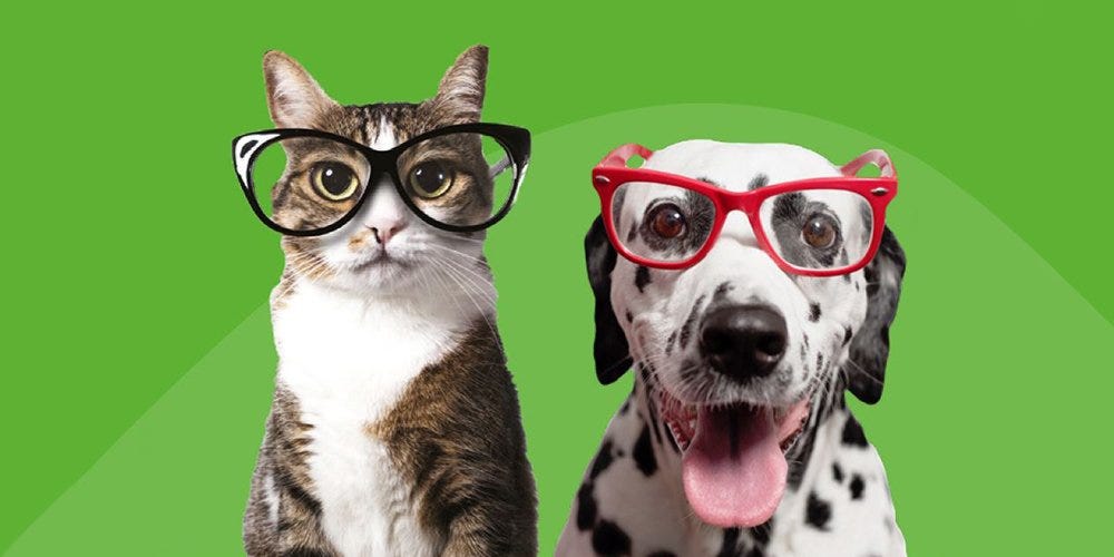 Does pet insurance cover congenital conditions? by TrustedPals Pet