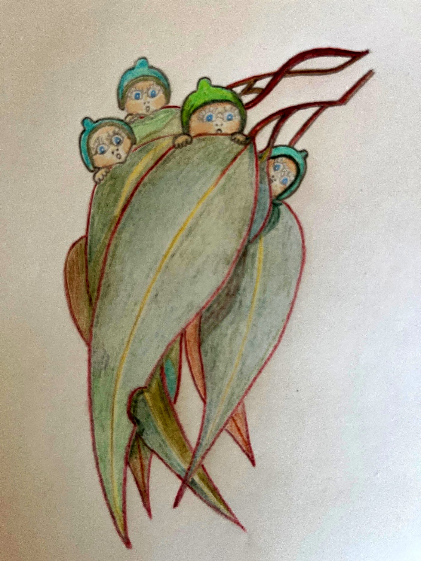 A hand-drawn colored pencil illustration of gumleaves with the heads of gumnut babies peeping over the top from behind the leaves.
