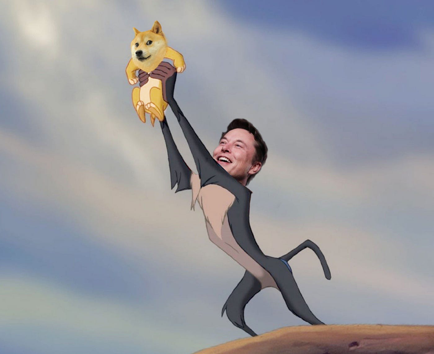 Elon Musk dogecoin tweet