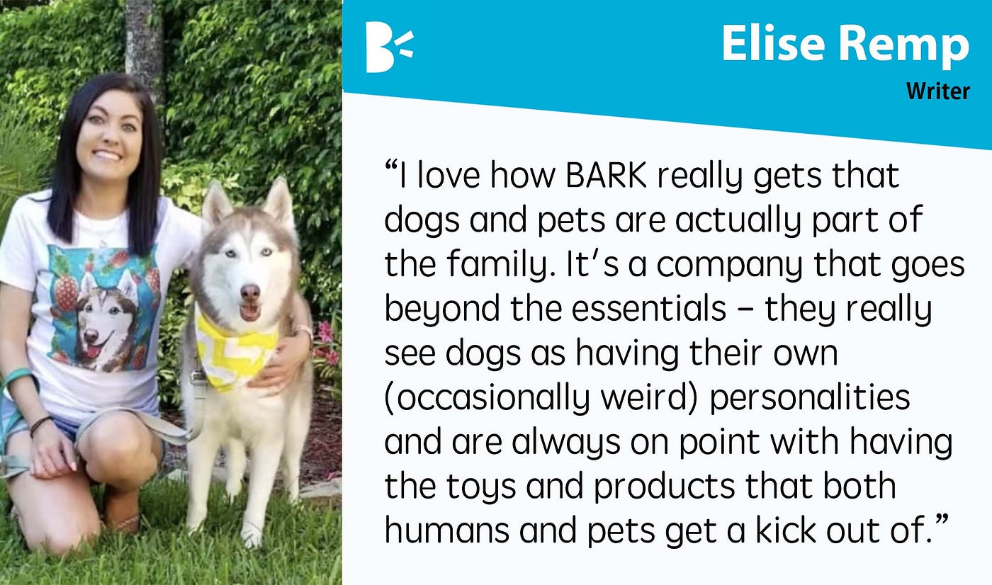 Do Dogs Have Their Own Personalities