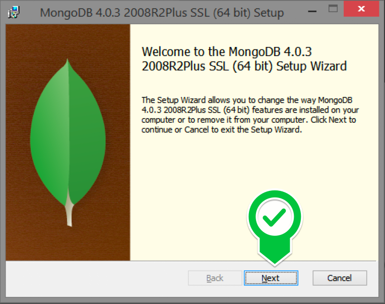 Installation and setup MongoDB
