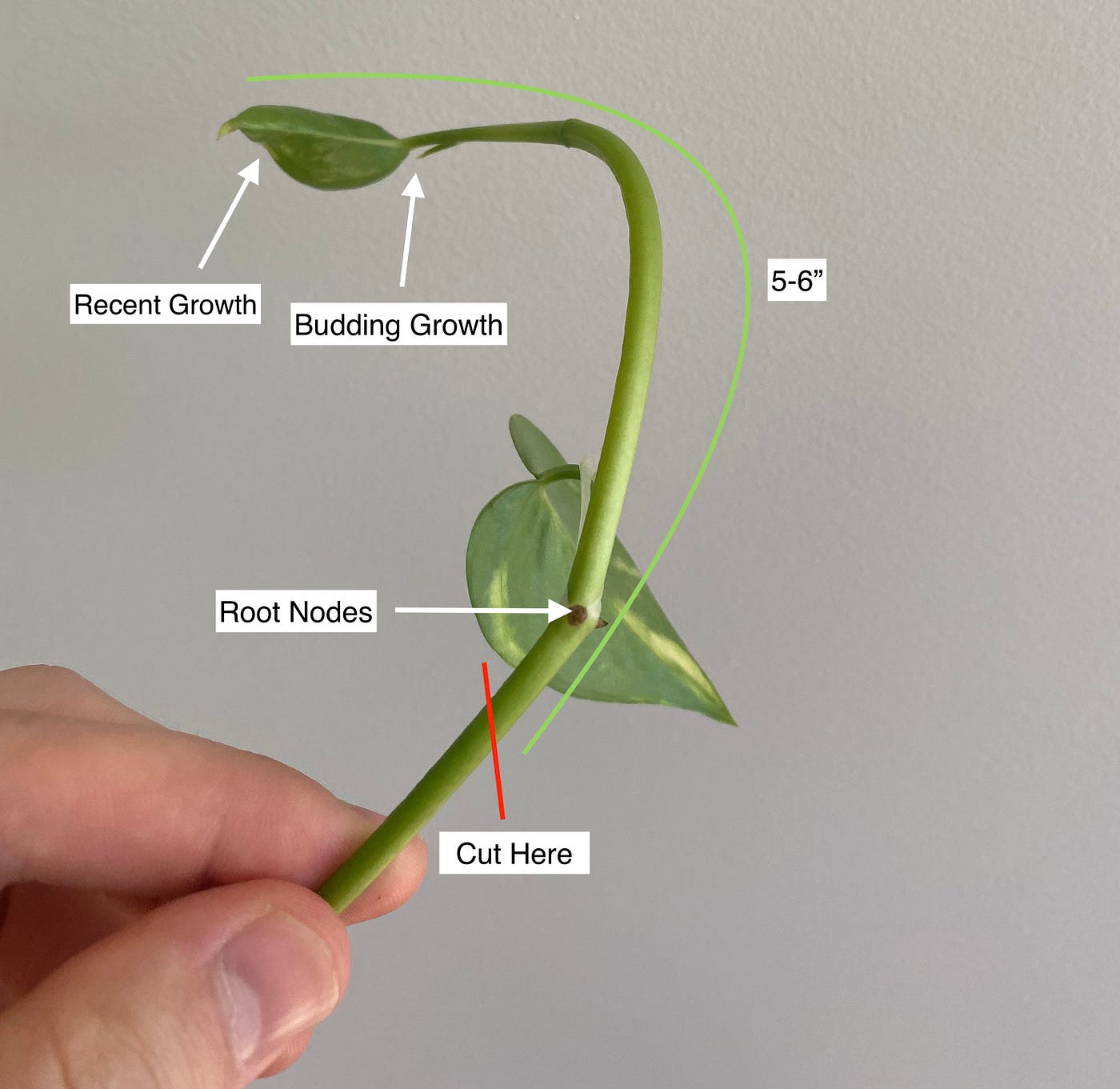 How To Propagate Nodes