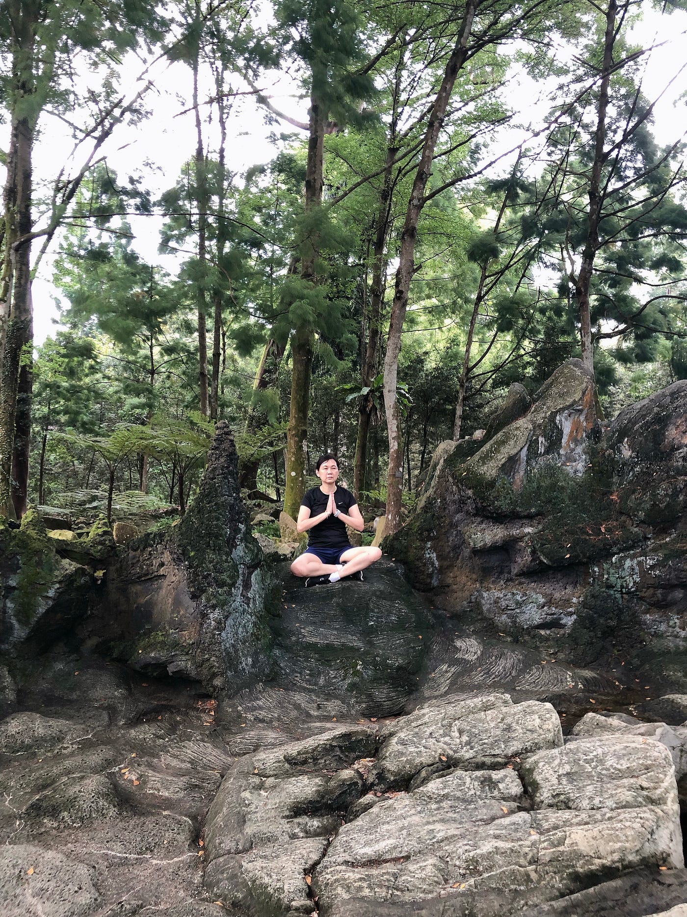 What Solid Advice the Rocks Have for Me | Singapore Botanic Gardens