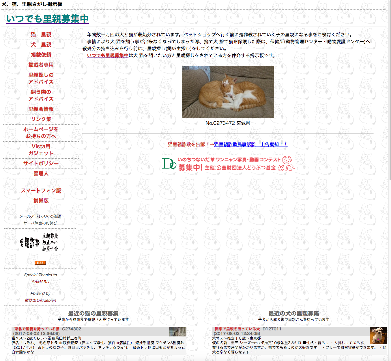 国内 里親募集サイト比べてみました 国内の里親募集サイトの比較 公開年順 Web解析データはsimilar By Alco Medium 国内 里親募集サイト比べてみました 国内の里親募集サイトの比較 公開年順 Web解析データはsimilar By Alco Medium