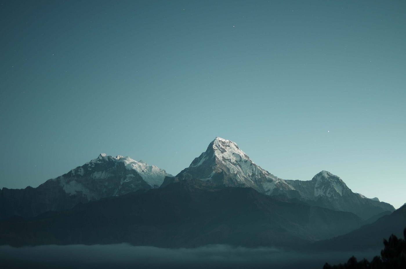 Create a fully dynamic Tab Component in Angular | by Luka O | JavaScript in  Plain English