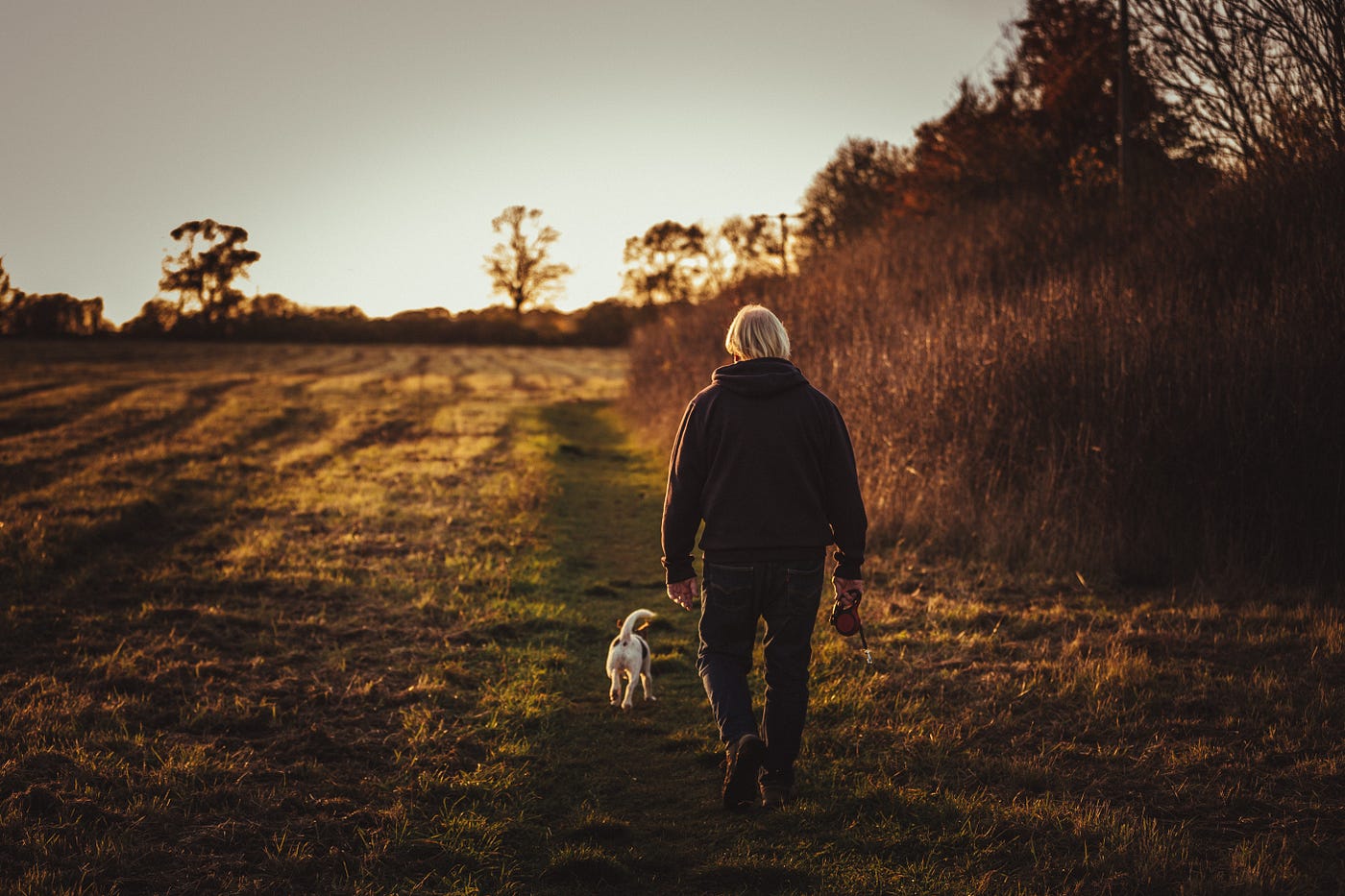 Man walking with his dog in the woods