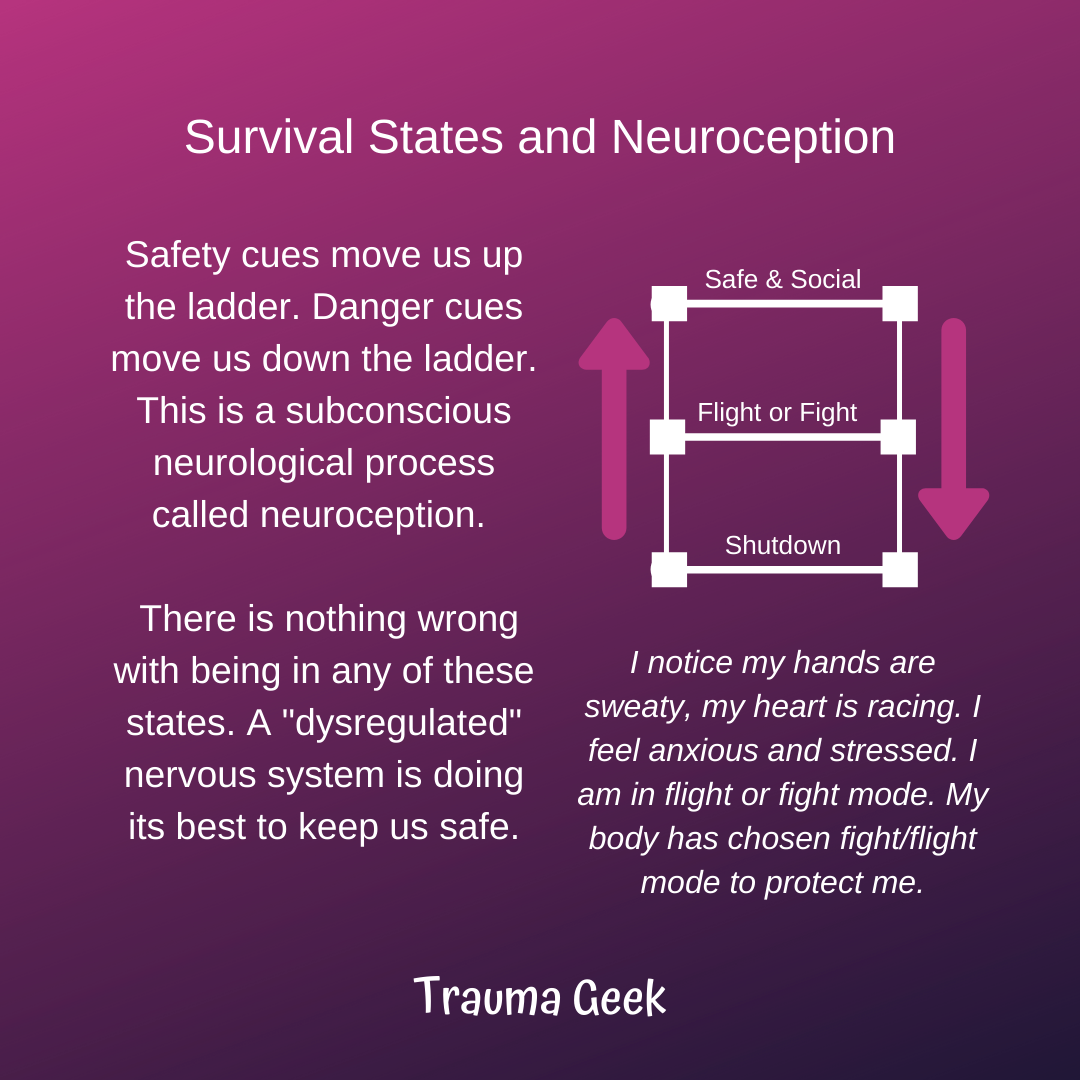 How to Use the Polyvagal Ladder. A set of graphics by Janae Elisabeth