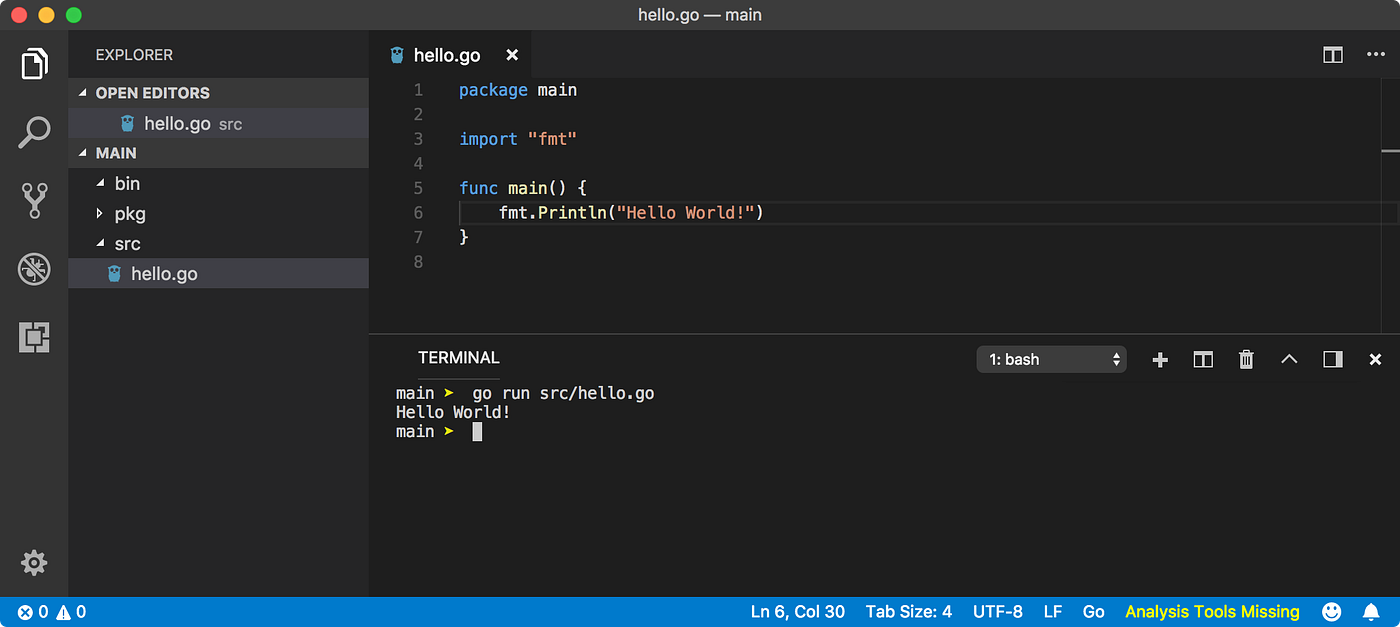 How to write a simple Go Program. In this tutorial, we are going to look… |  by Uday Hiwarale | RunGo | Medium